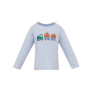 NEW CLAIRE & CHARLIE boy's pumpkin train applique stripe long sleeve knit shirt